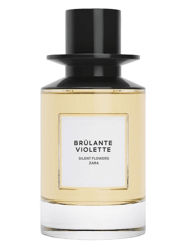 Zara Brulante Violette