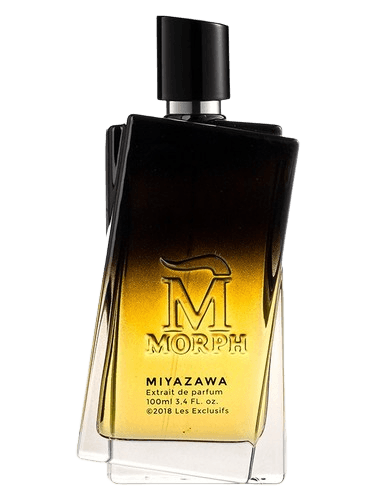Morph Miyazawa