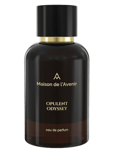 Maison de l'Avenir Opulent Odyssey