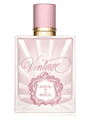 Tim McGraw Faith Hill Soul2Soul Vintage