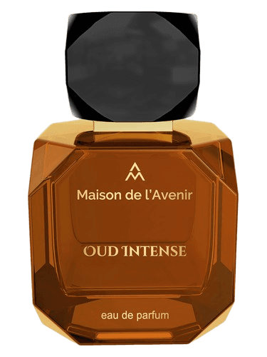 Maison de l'Avenir Oud Intense