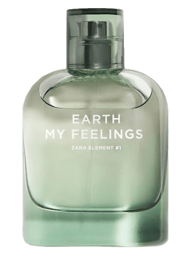 Zara Earth My Feelings