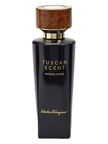 Salvatore Ferragamo Incense Suede
