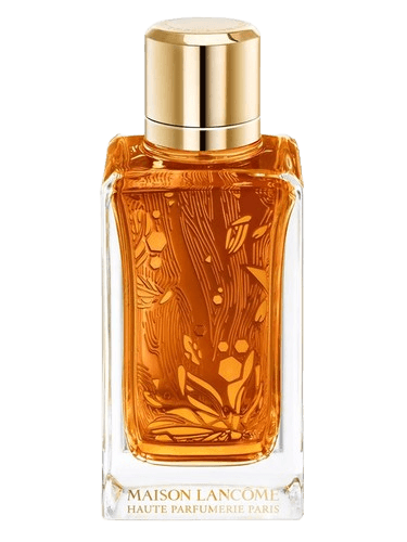 Lancôme Oud Ambroisie