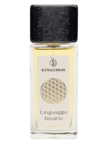 Bottega Somalani Linguaggio Binario