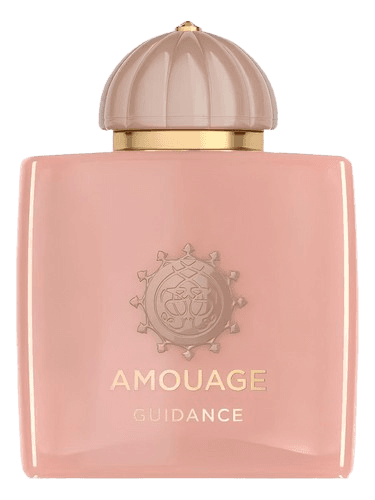 Amouage Guidance