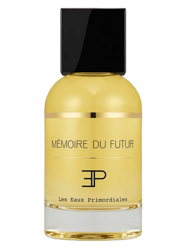 Les EAUX Primordiales Memoire du Futur