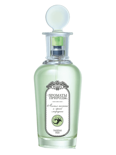 Brocard Листья томата и черной смородины - Tomato and Black Currant Leaves