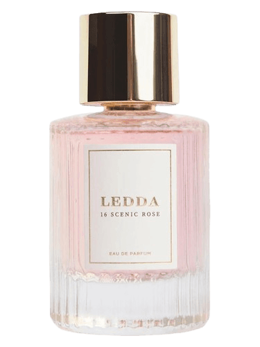 Ledda 16 Scenic Rose