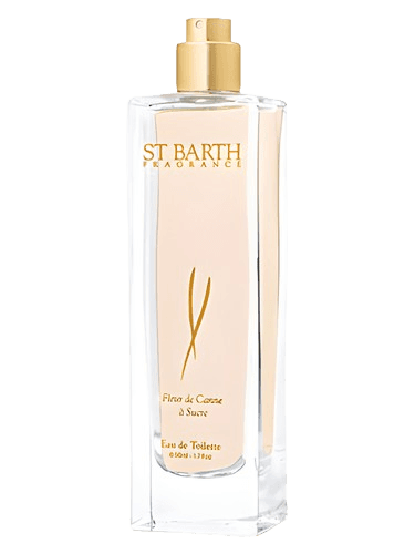 Ligne St. Barth Fleur de Canne a Sucre