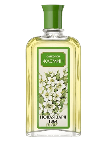 Новая Заря (The New Dawn) Жасмин (Jasmine)