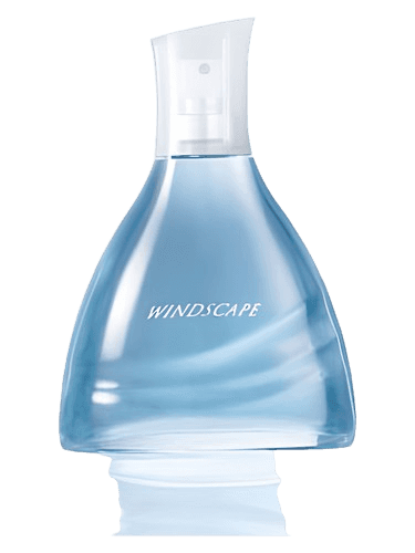 Avon Windscape for Him