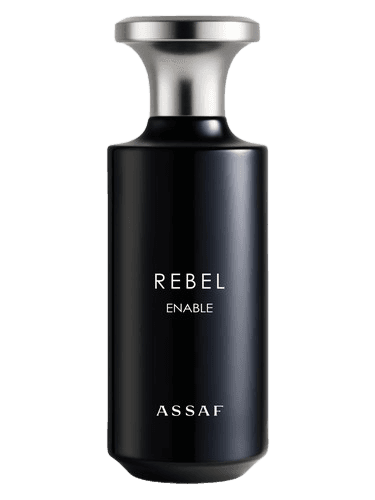 Assaf Rebel