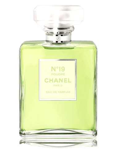 Chanel Chanel No 19 Poudre