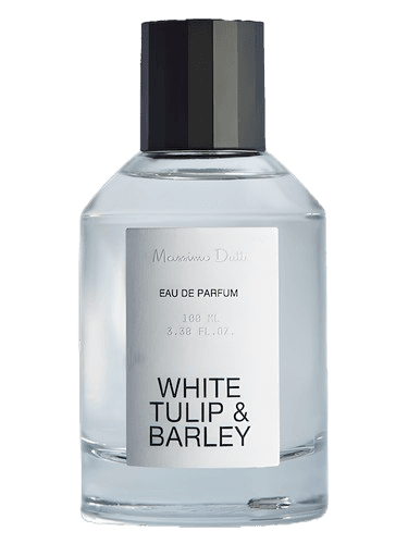 Massimo Dutti White Tulip & Barley
