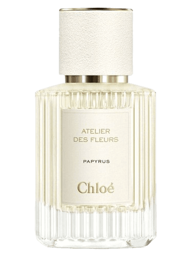 Chloé Papyrus