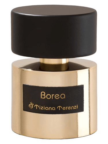 Tiziana Terenzi Borea