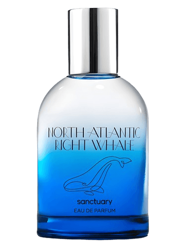 Sanctuary North Atlantic Right Whale