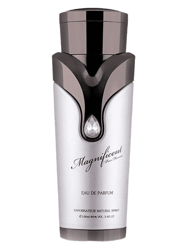 Armaf Magnificent Pour Homme