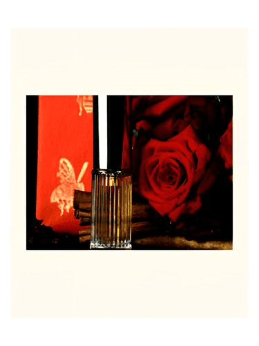 DSH Perfumes Poivre