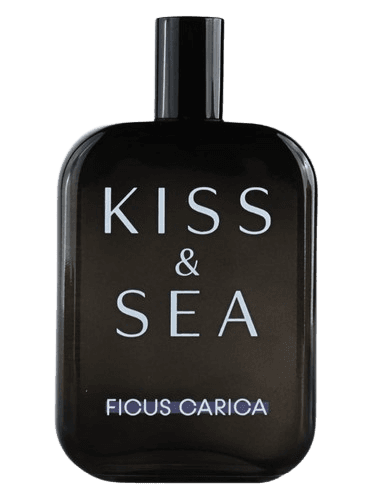 Samam Kiss & Sea Ficus Carica