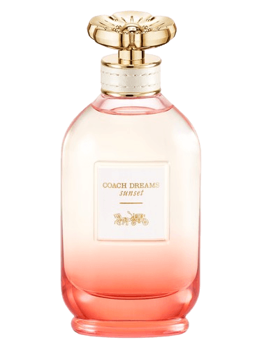 Coach Coach Dreams Sunset