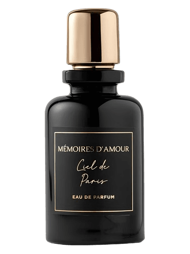Mémoires D'amour Ciel de Paris