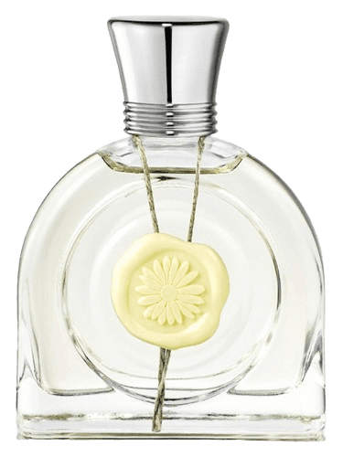 M. Micallef Fleur Lumière