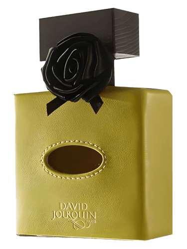 David Jourquin Cuir Solaire