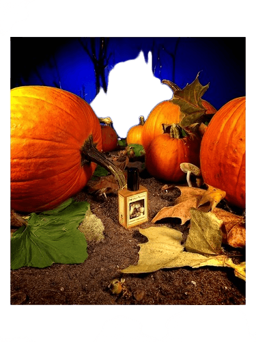 Solstice Scents Gunnerson's Pumpkin Patch