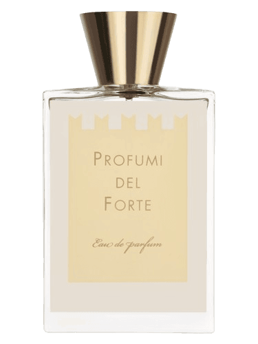 Profumi del Forte Ambra Mediterranea (Versilia Vintage Ambra Mediterranea)