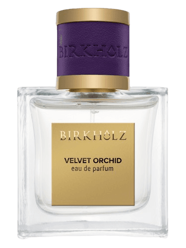 Birkholz Velvet Orchid