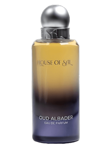 House of Sal Oud Al Badr