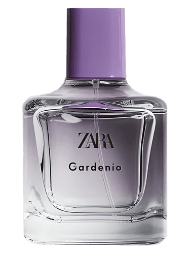 Zara Gardenia