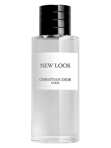 Dior New Look 2024