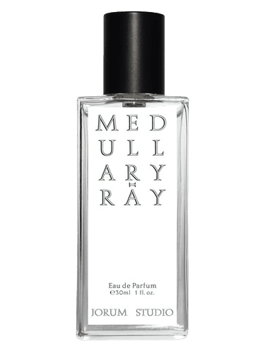 Jorum Studio Medullary-ray