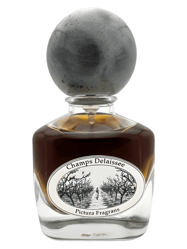 Pictura Fragrans Champs Délaissée