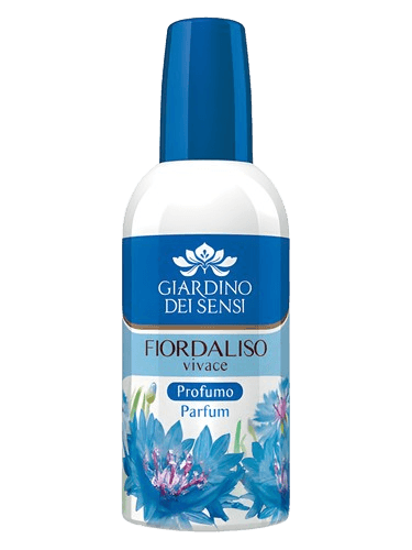 Giardino Dei Sensi Fiordaliso Vivace