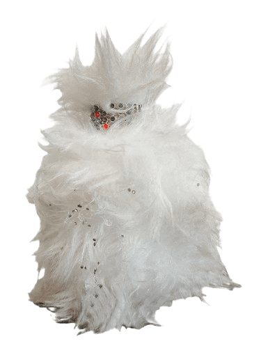 House of Atropa She Is Cat