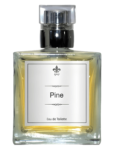 1907 Pine