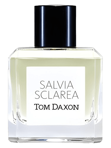 Tom Daxon Salvia Sclarea