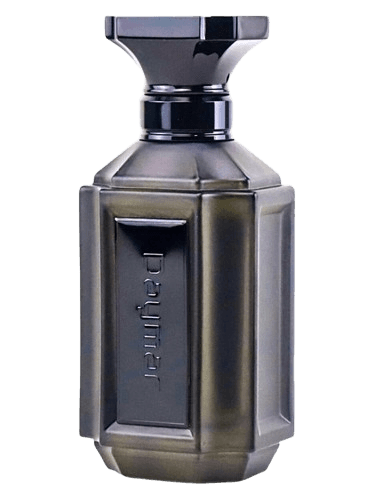 Ainash Parfums Daymar by Pollito Tropical