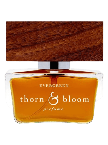 Thorn & Bloom Evergreen