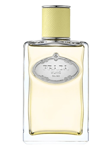 Prada Infusion de Gingembre