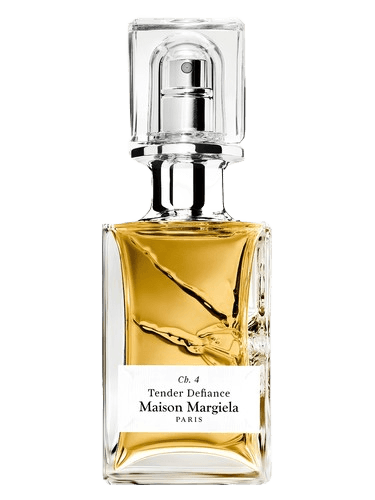 Maison Martin Margiela Tender Defiance