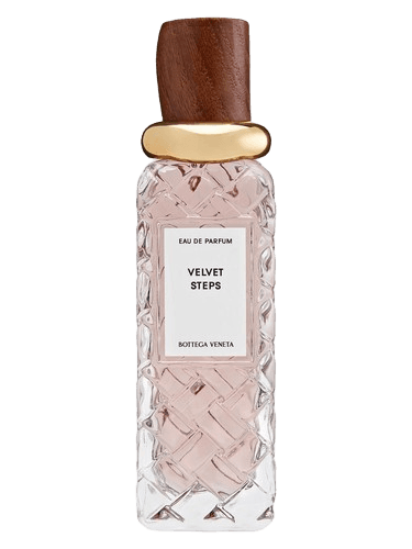 Bottega Veneta Velvet Steps
