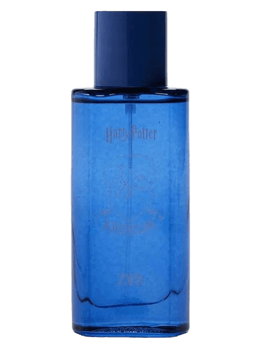 Zara Harry Potter Ravenclaw