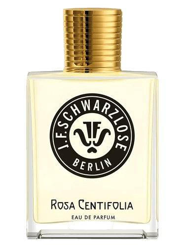 J.F. Schwarzlose Berlin Rosa Centifolia