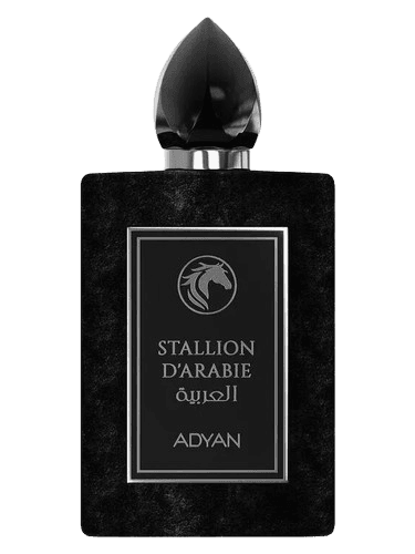 Adyan by Anfar Stallion D'Arabie