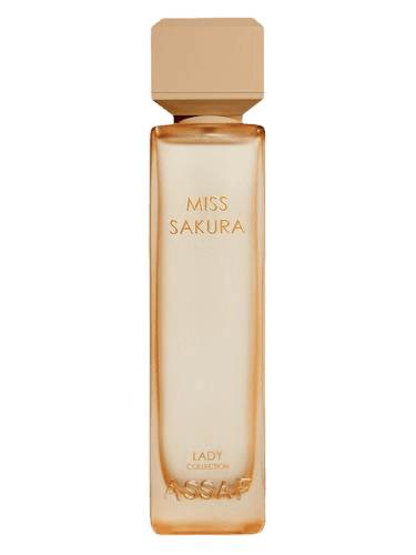 Assaf Miss Sakura